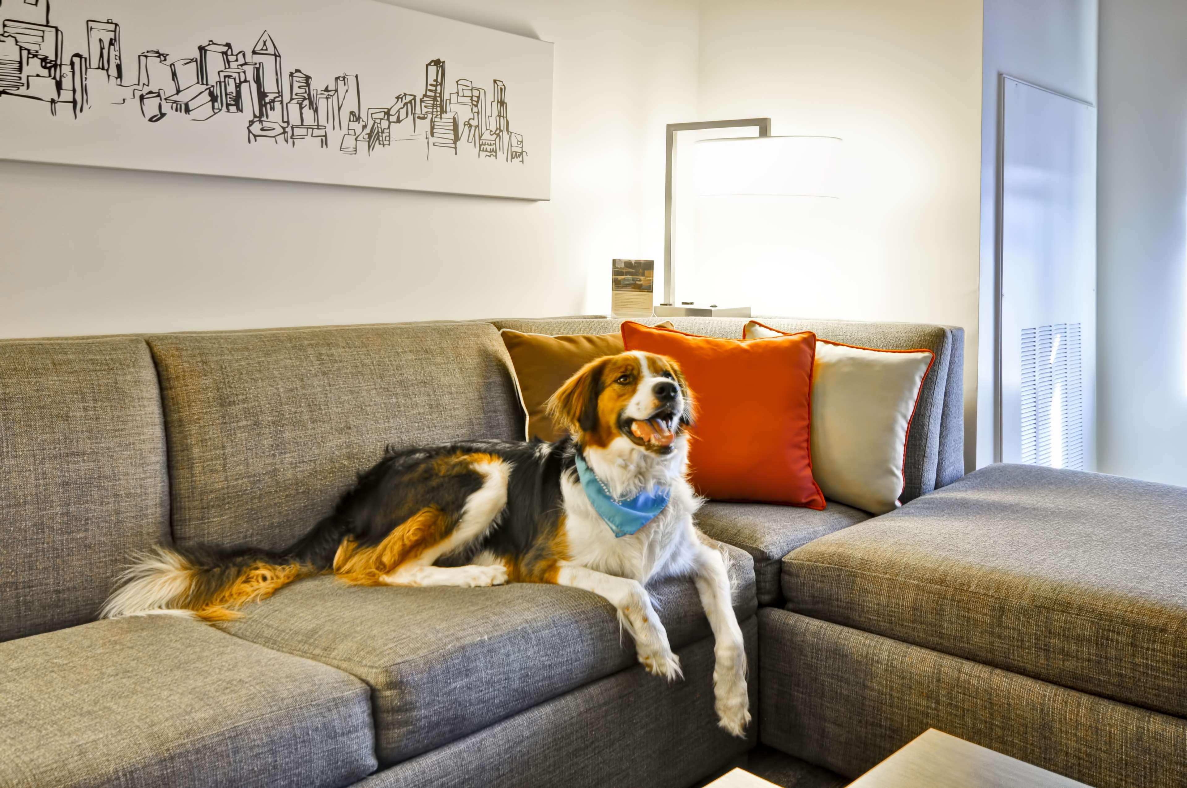 Hyatt House Atlanta Cobb Galleria Смирна Экстерьер фото